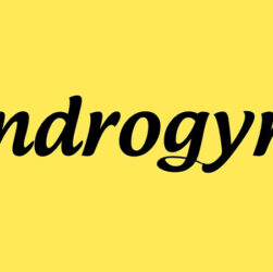 Androgyne Font Family Free Download