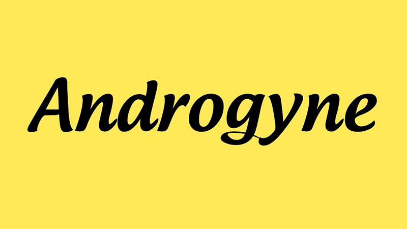 Androgyne Font Family Free Download