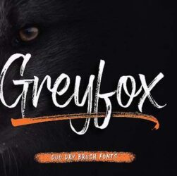 Greyfox Font Family Free Download
