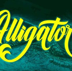 Alligator Font Family Free Download