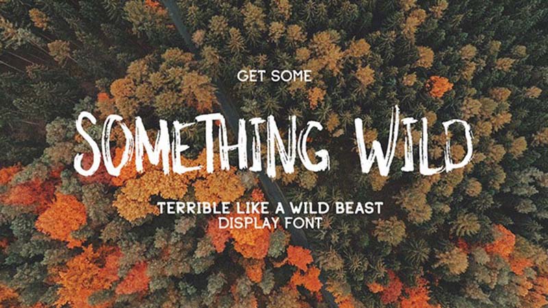 Something Wild Font Family Free Download