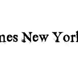 Times New Yorker Font Family Free Download