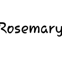 Rosemary Font Family Free Download