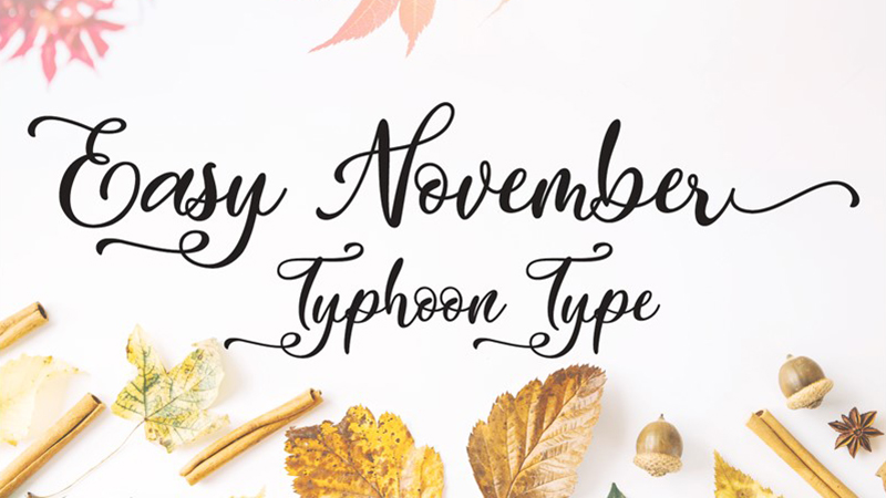 Easy November Font Family Free Download