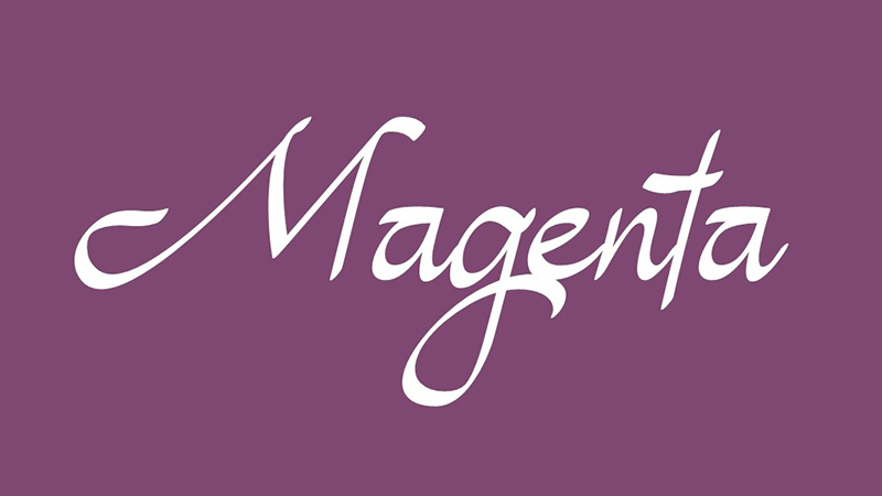 Magenta Font Family Free Download