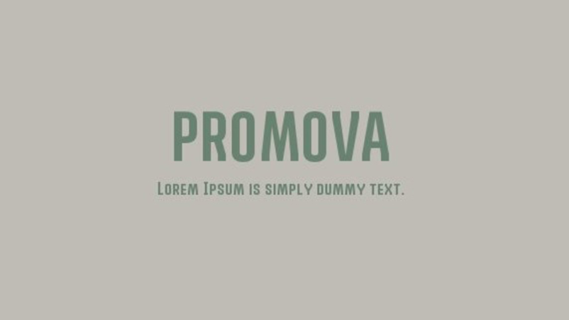 Promova Font Family Free Download
