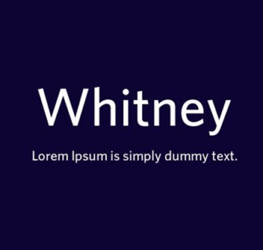 Whitney Font Family Free Download